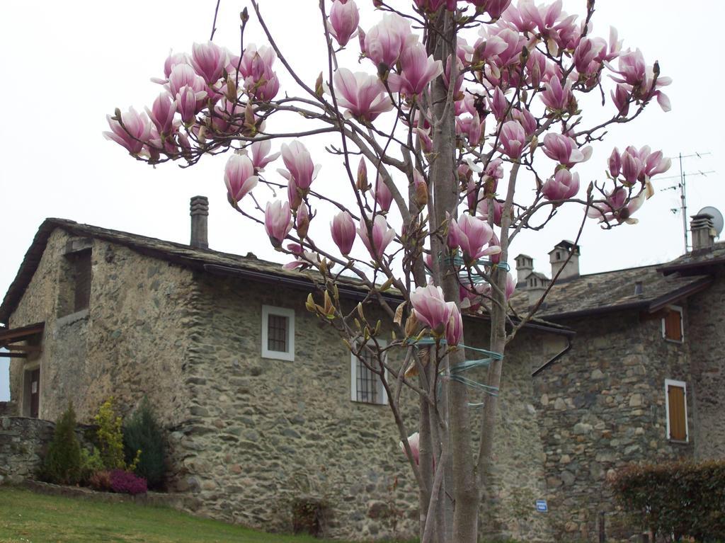 Villa Casa San Martino Teglio Exterior foto